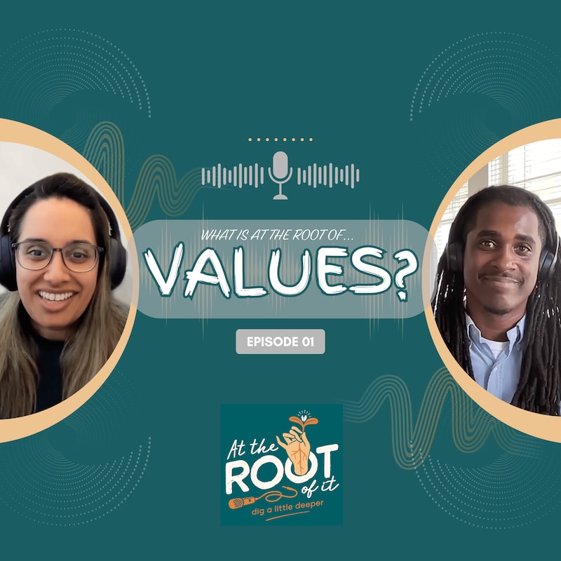 Artwork for podcast At The Root Of It