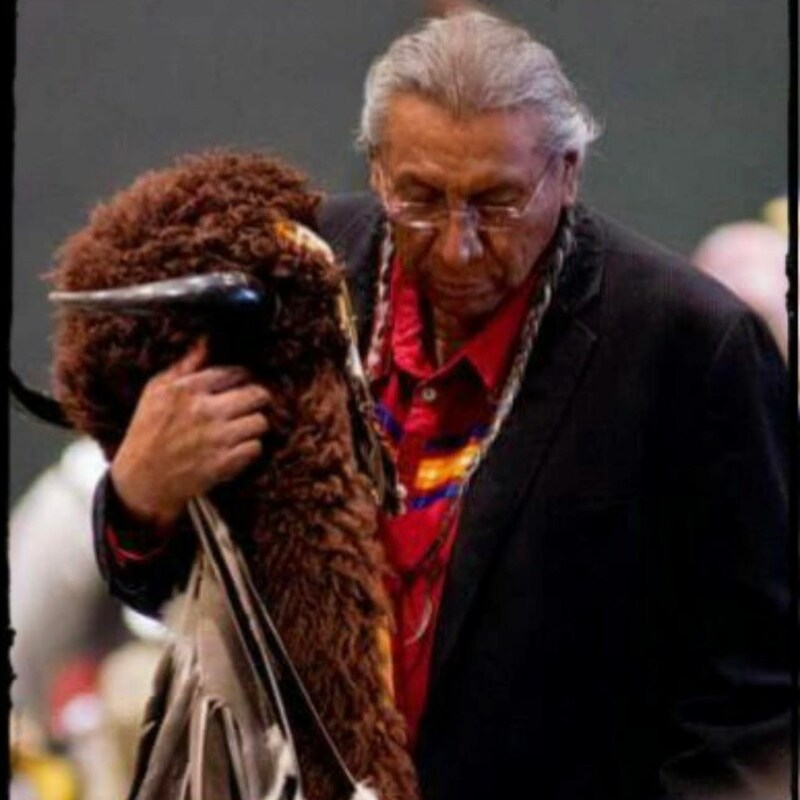 Artwork for podcast 5 Plain Questions