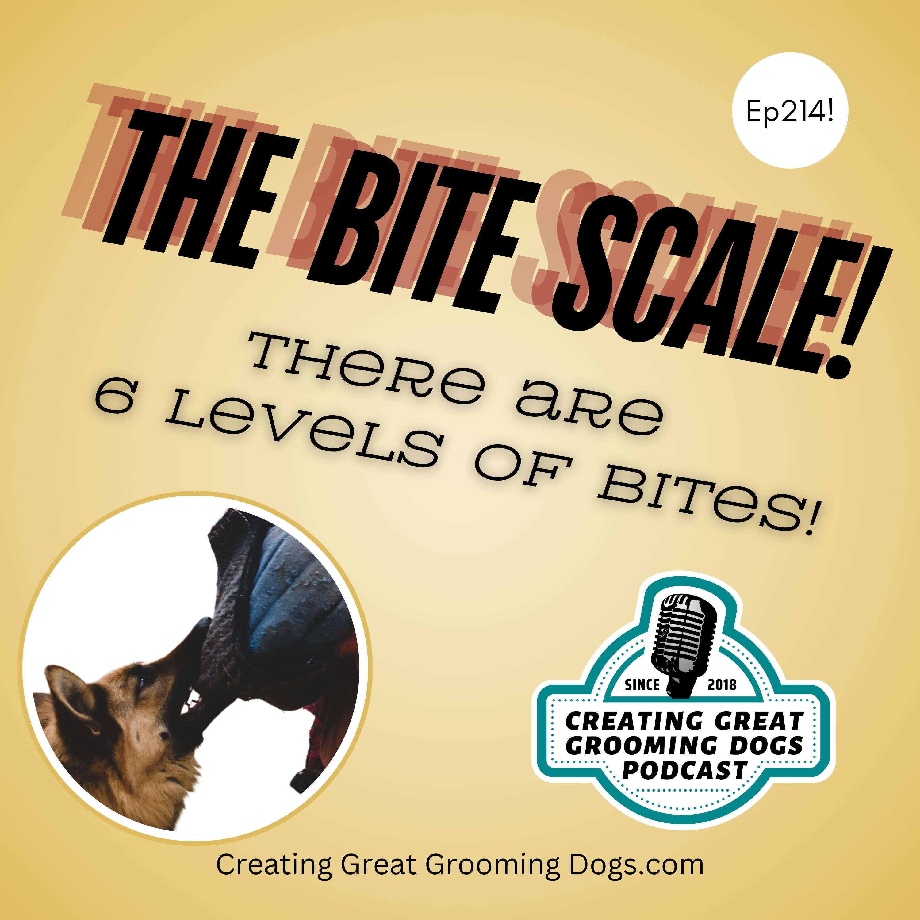 The Bite Scale Ep214