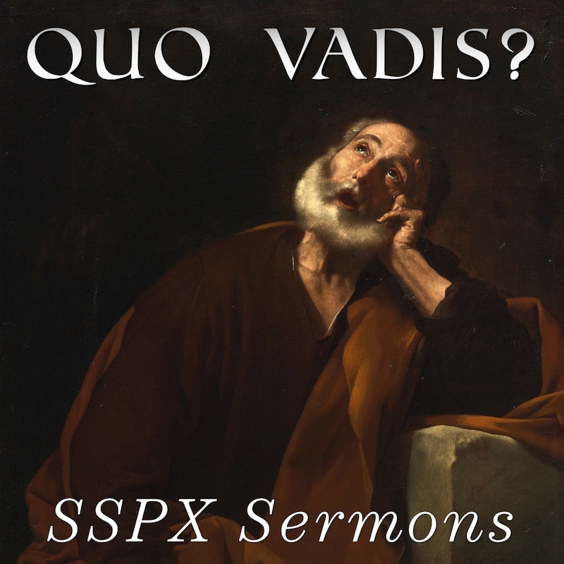 Artwork for podcast SSPX Sermons