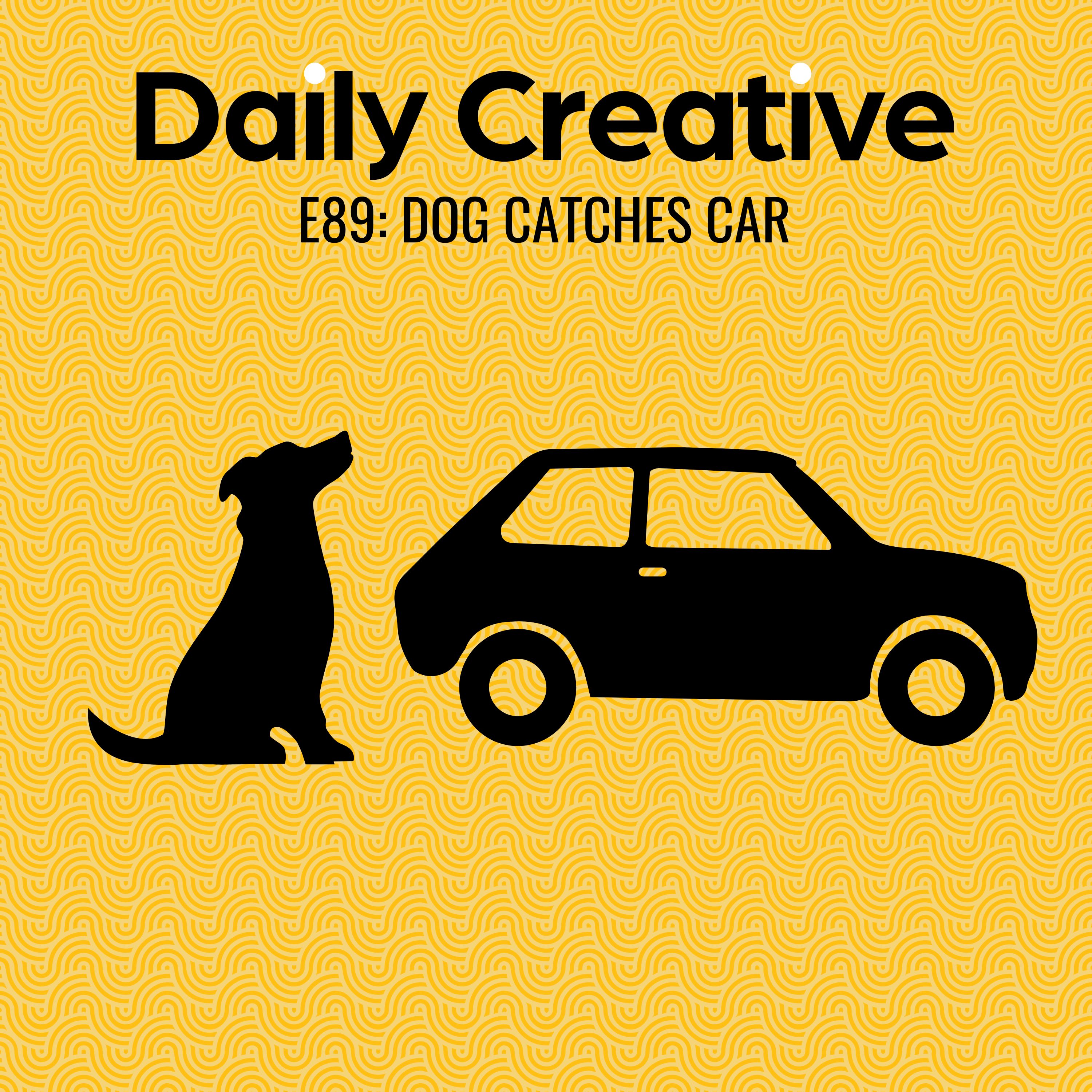 Dog Catches Car: What Happens After You Achieve Your Life's Goal?