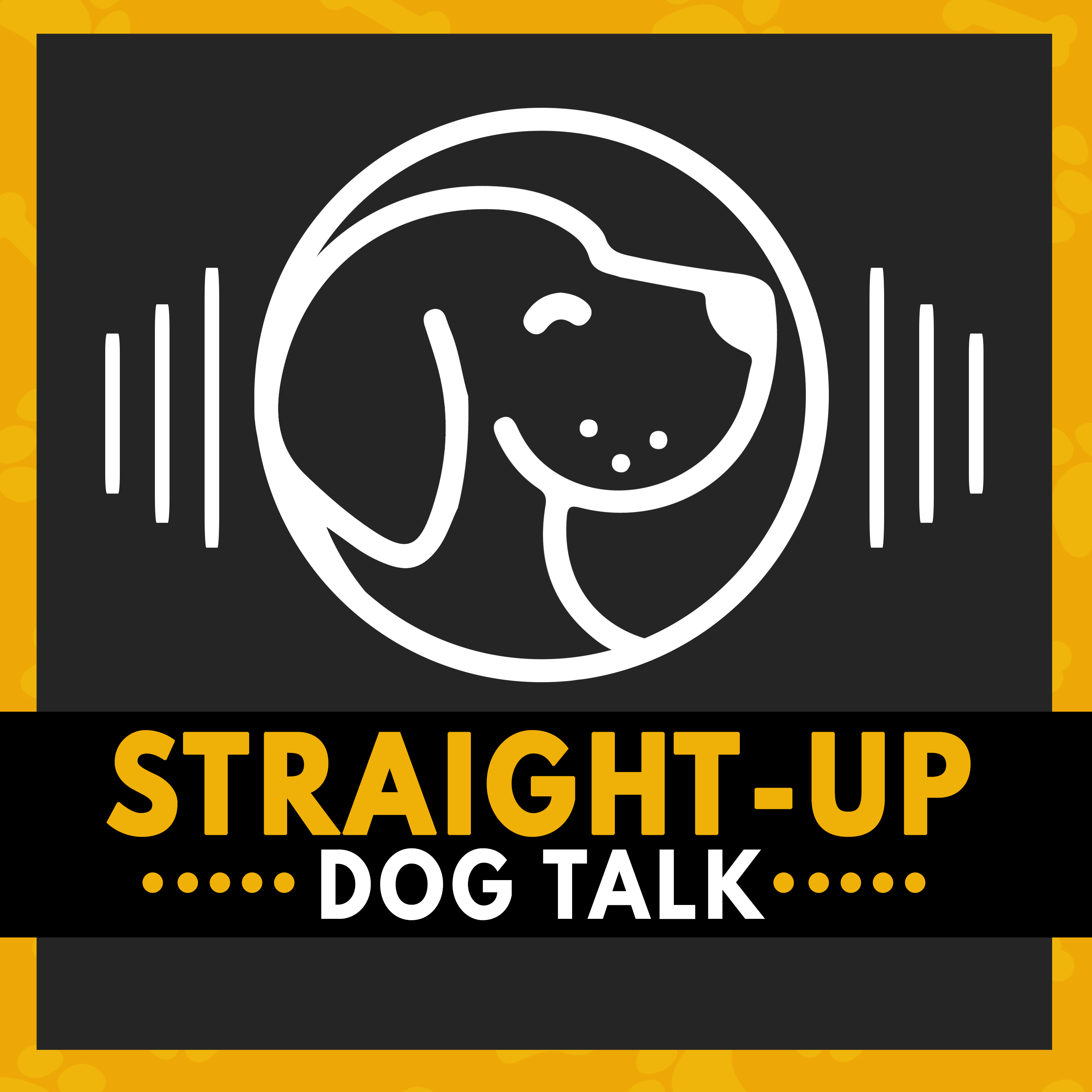 The Hidden Link Between Dog Food and Dog Behavior