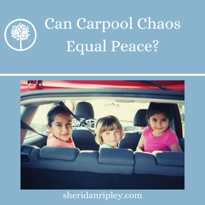 #50 How a Traffic Jam with the Carpool Kids Helped Me Find Peace episode artwork
