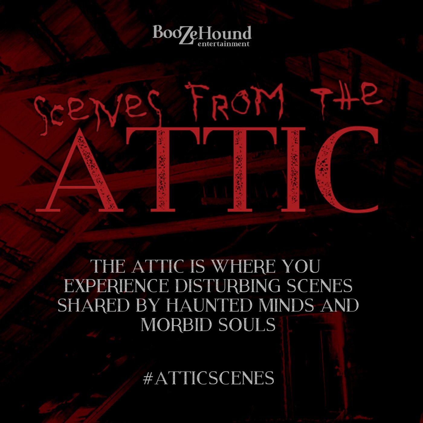 Show artwork for Scenes From The Attic
