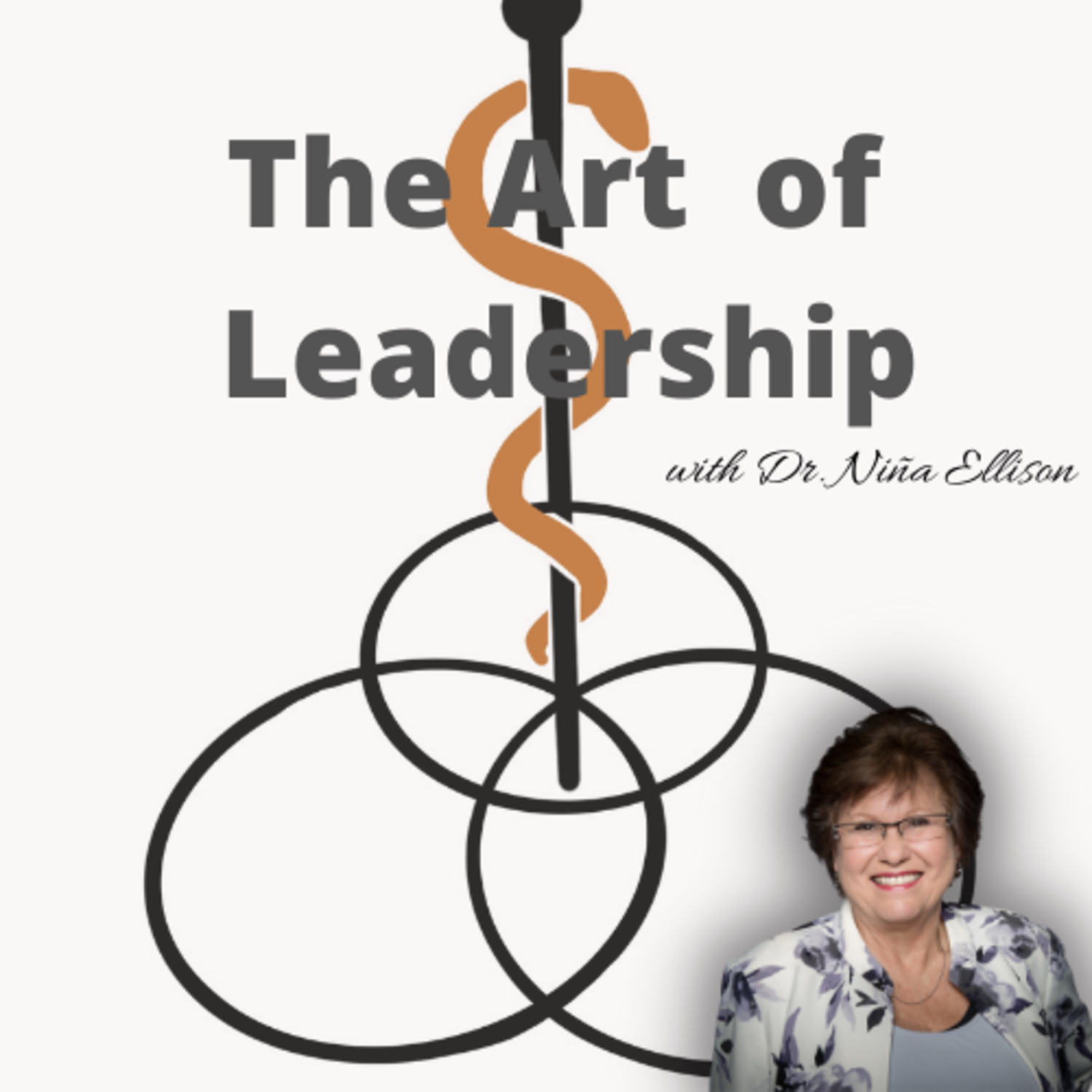 Artwork for podcast The Art of Leadership