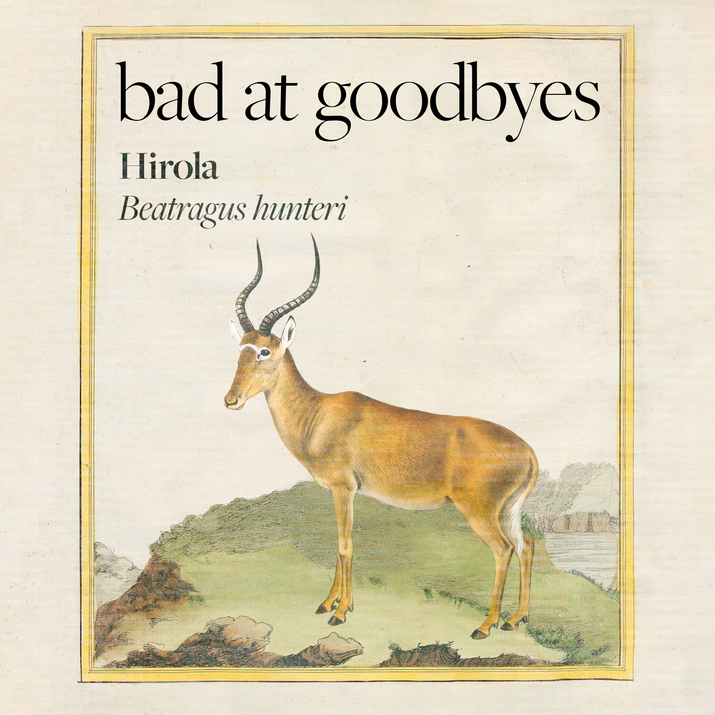 Hirola episode artwork