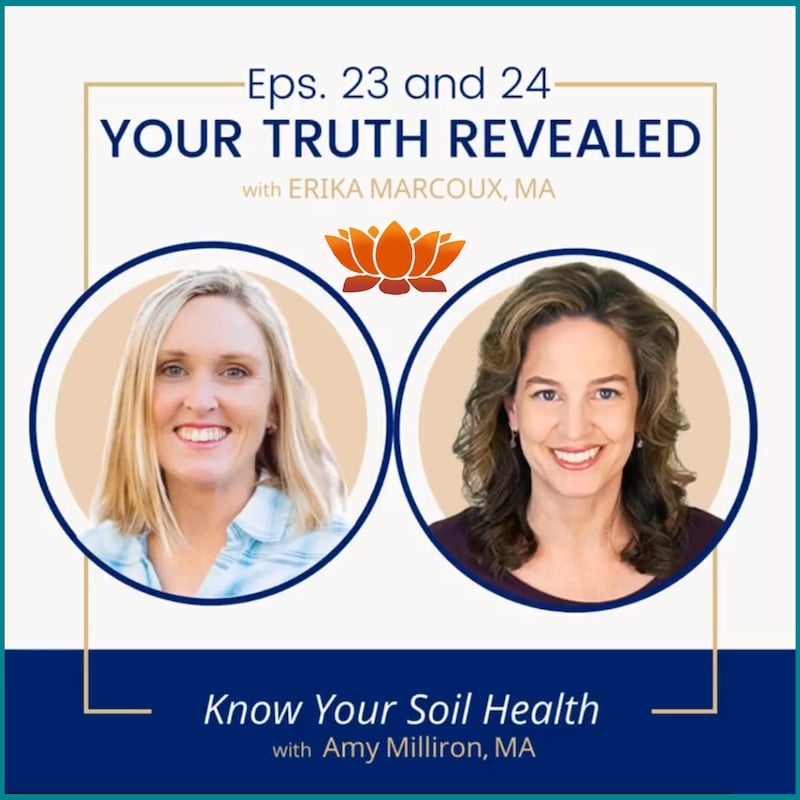 Artwork for podcast Your Truth Revealed: Healing Fatigue and Lyme