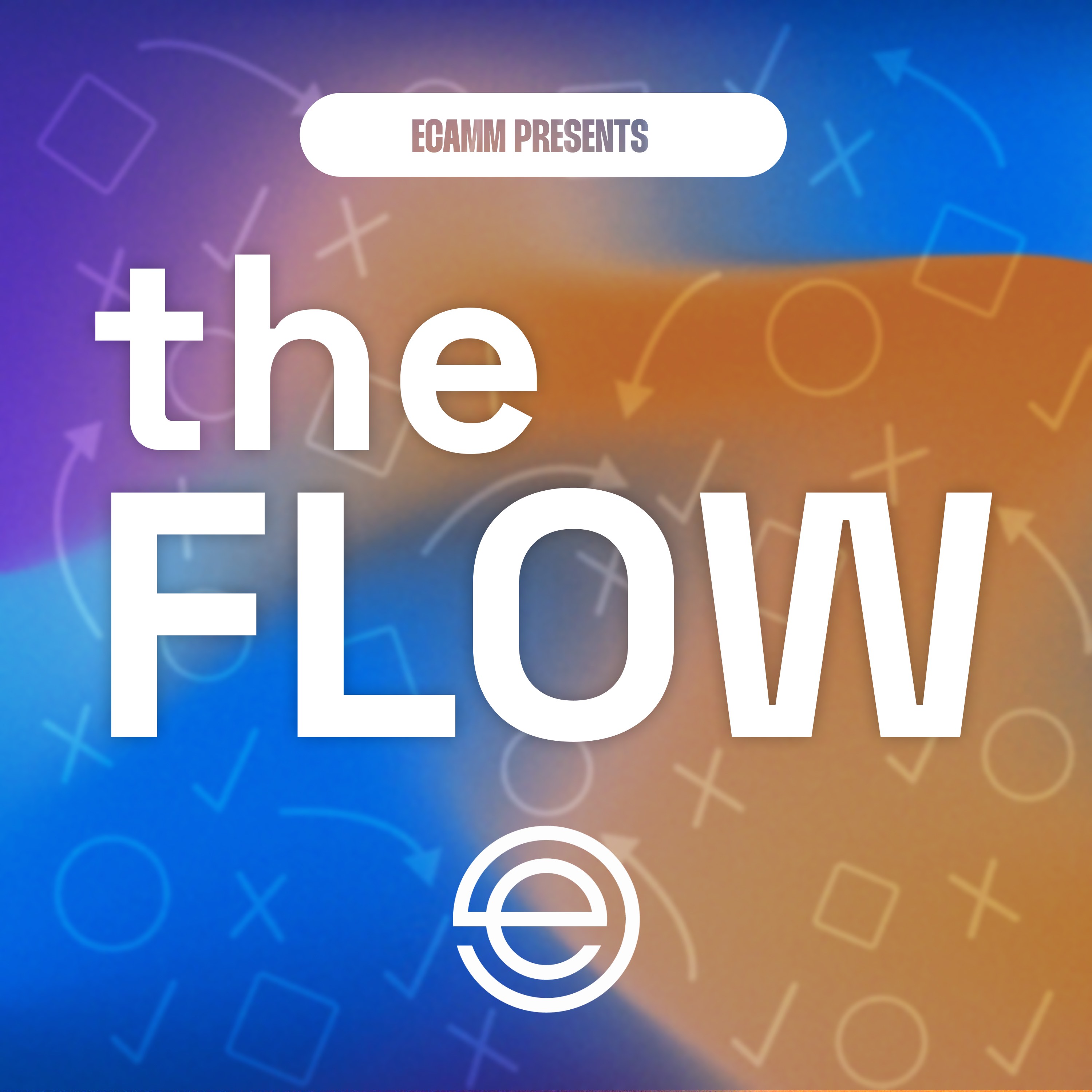 Artwork for podcast The Flow
