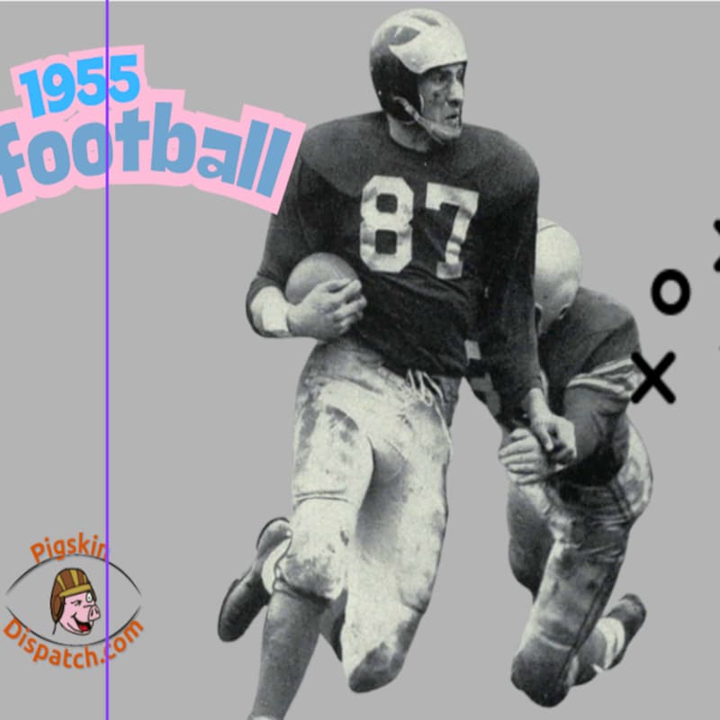 Artwork for podcast Pigskin Dispatch