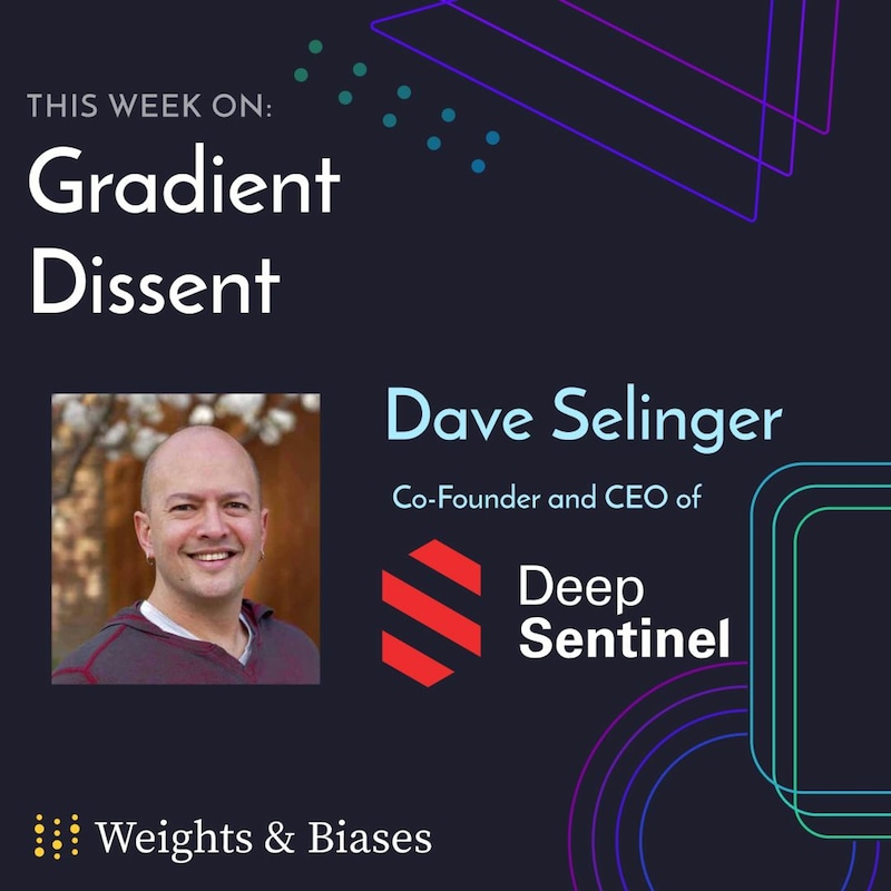 Artwork for podcast Gradient Dissent: Conversations on AI
