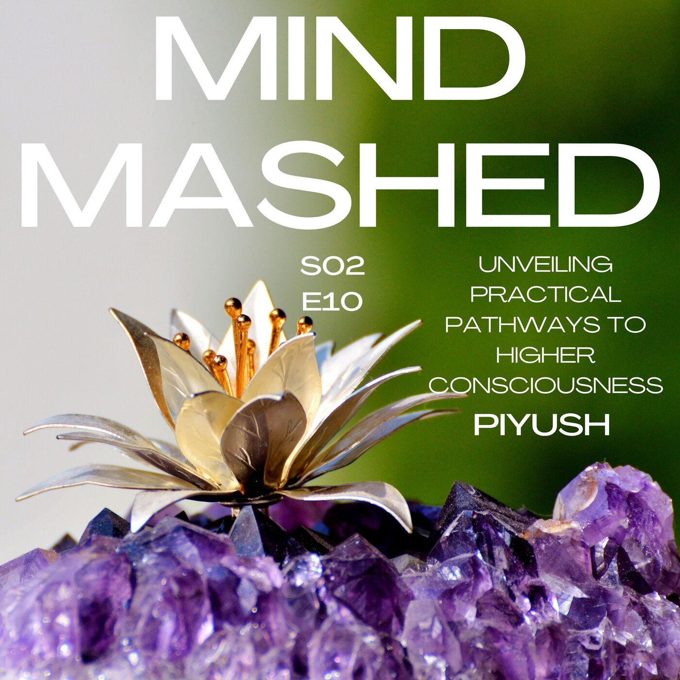 Mind Mashed - A Transformative Mindfulness & 5D Spirituality Podcast