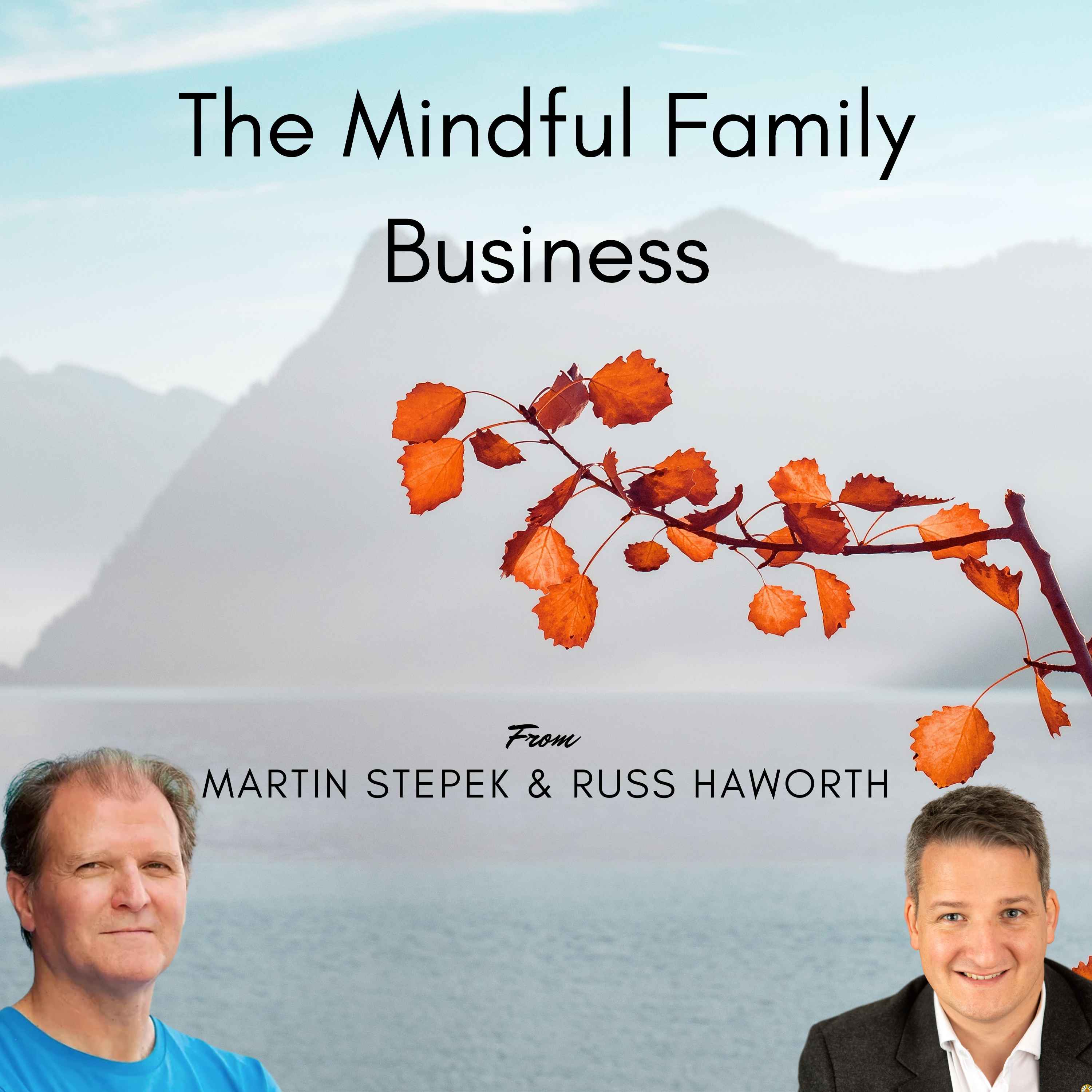 Artwork for podcast The Mindful Family Business