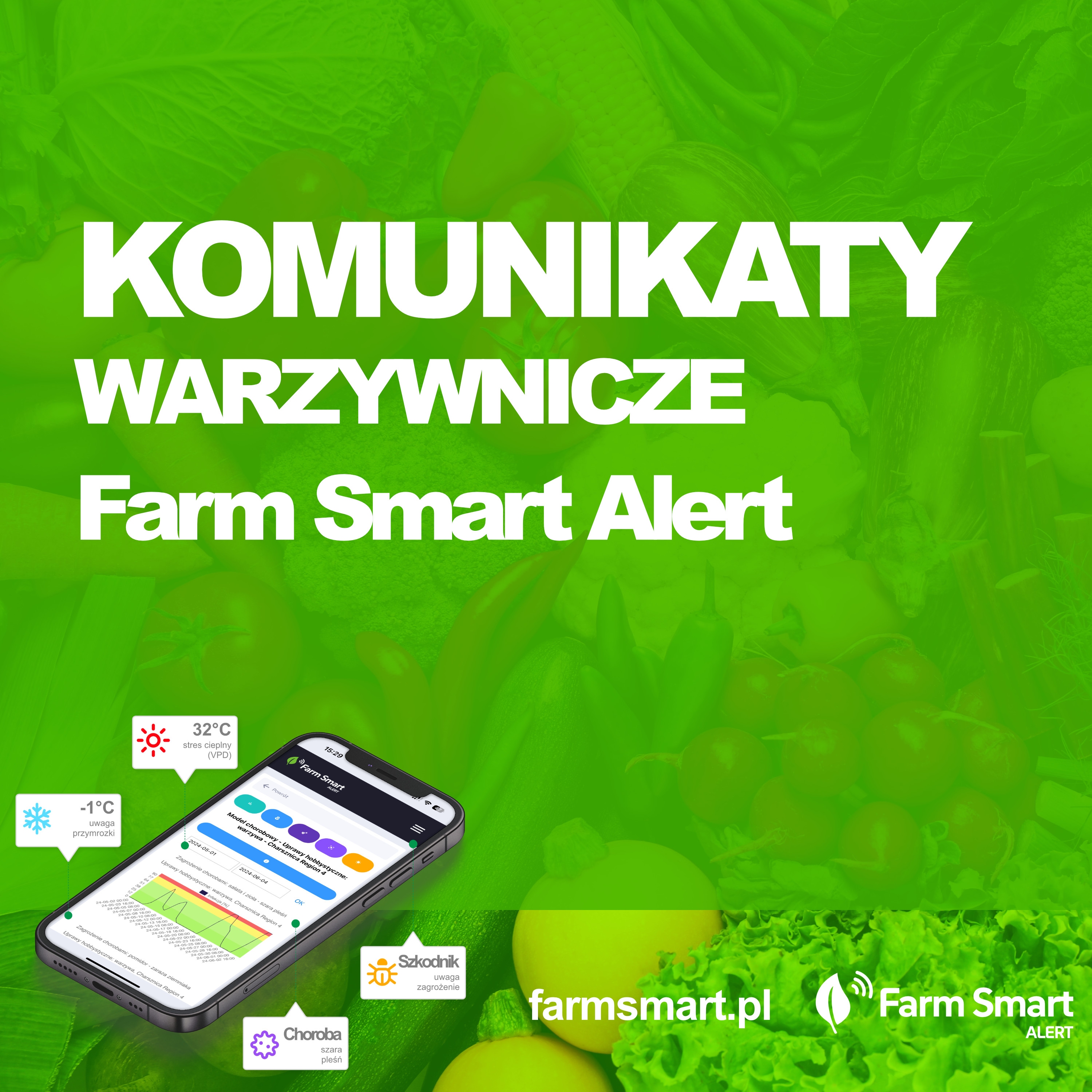 Komunikaty warzywnicze