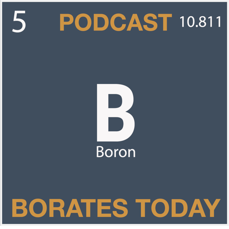 Artwork for podcast Borates Today