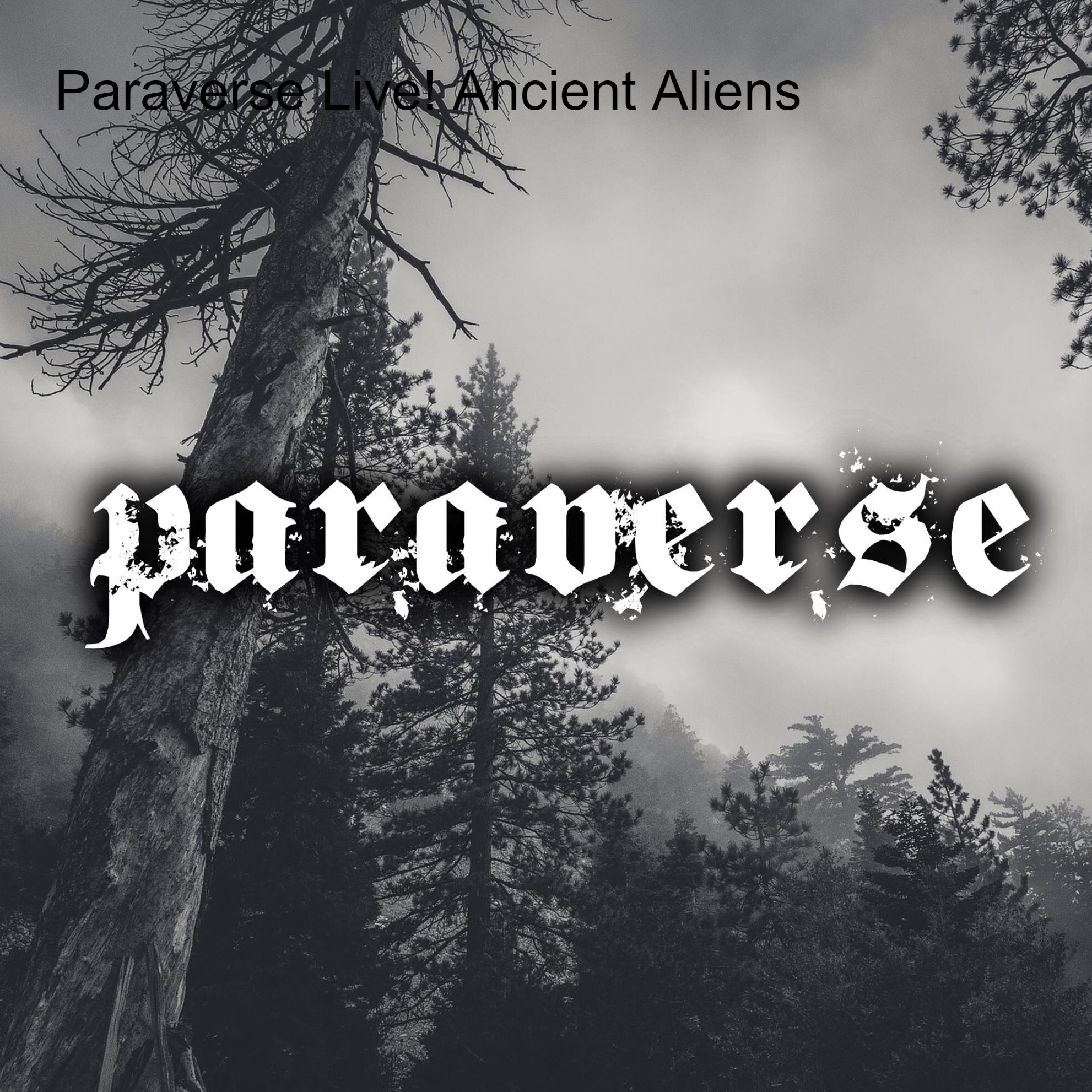 Paraverse - Live show and podcast series