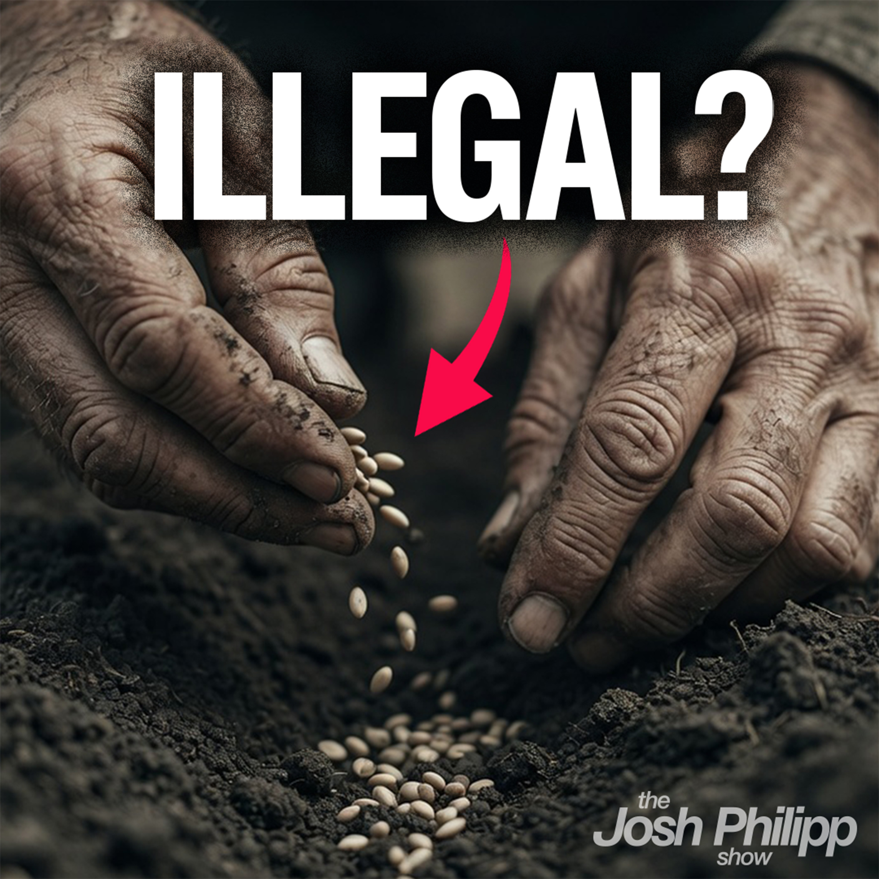 Why It’s Illegal for Farmers to Plant Their Own Seeds
