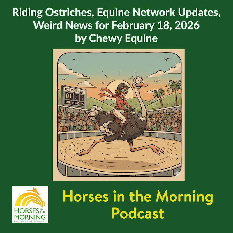 Artwork for podcast Horses in the Morning