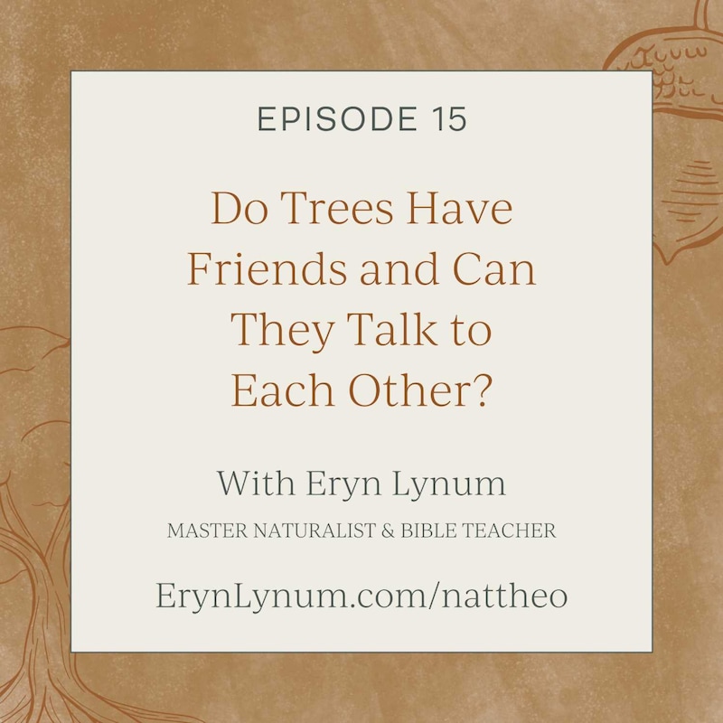 Artwork for podcast Nat Theo Nature Lessons Rooted in the Bible
