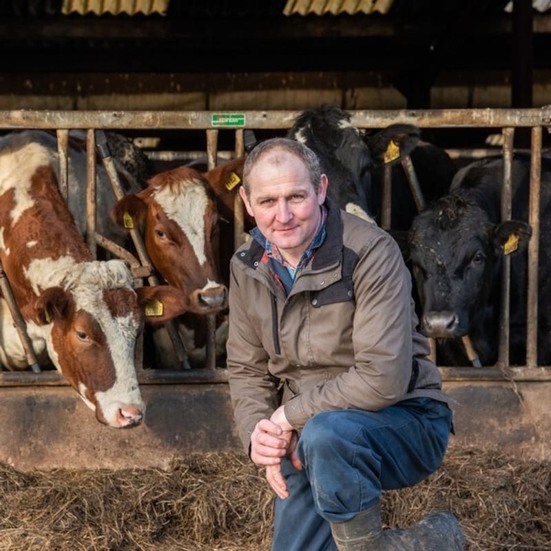 Artwork for podcast AHDB Food & Farming