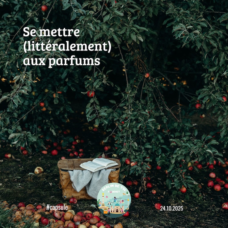 Artwork for podcast berlindetoi