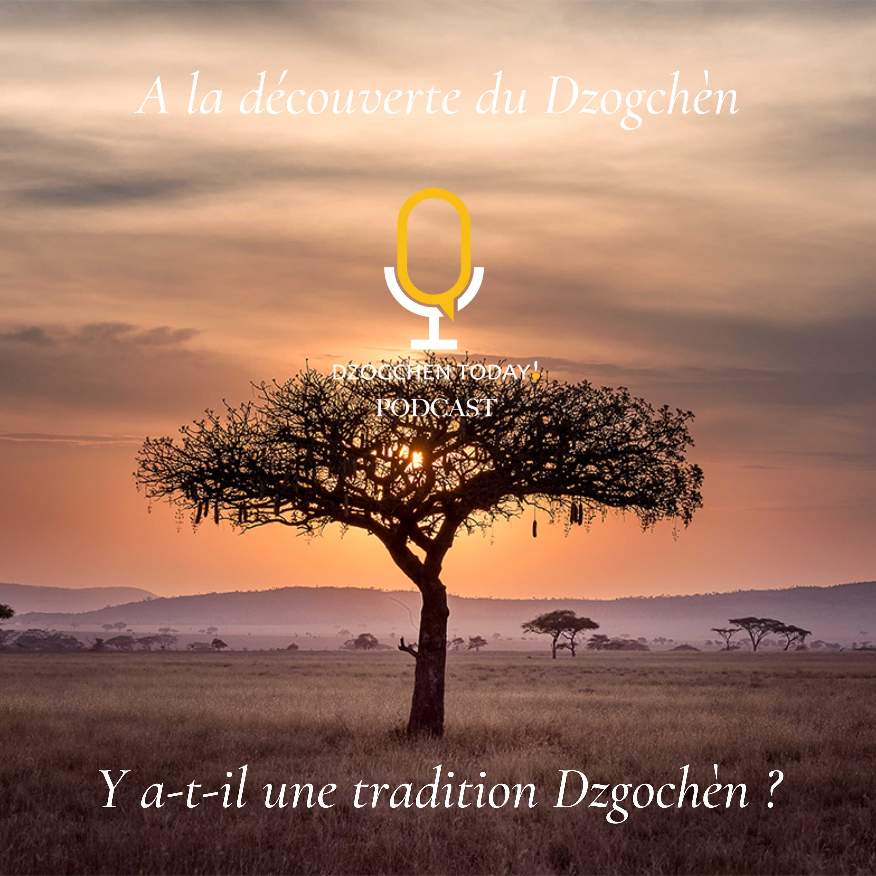 Qu\'est-ce que le Dzogchèn ?