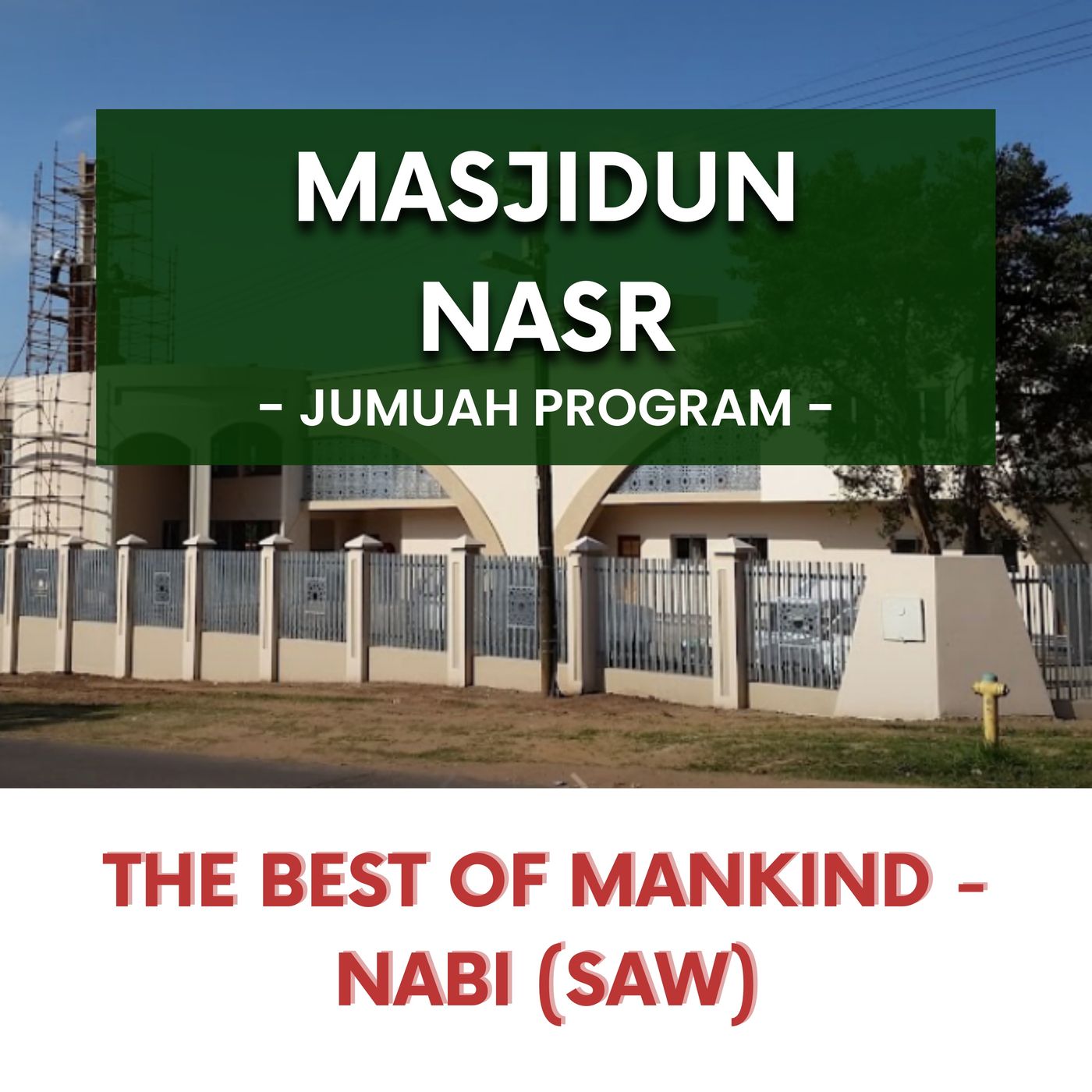 240202_The best of Mankind - Nabi (SAW)