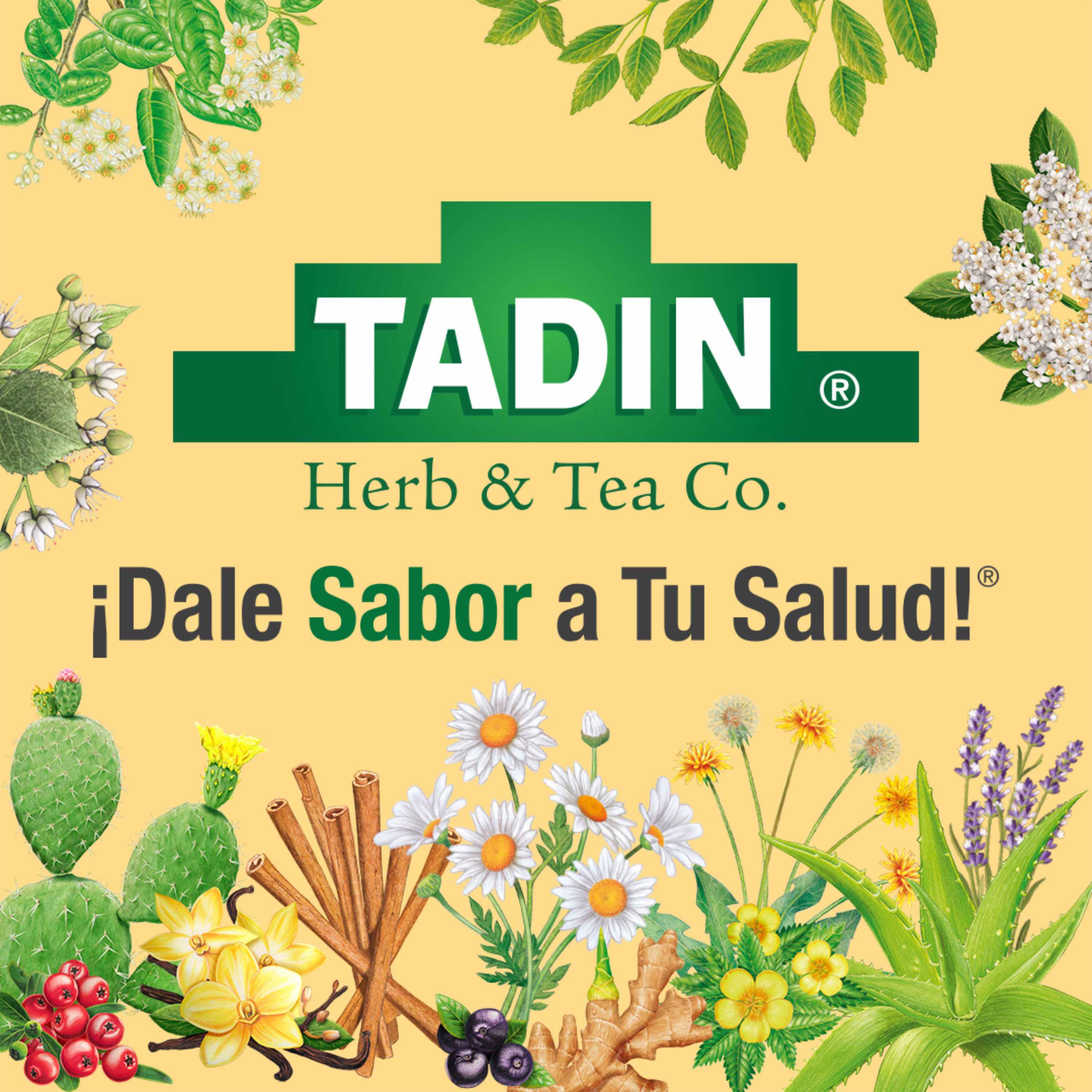 Artwork for Dale Sabor A Tu Salud by Tadin Herb & Tea Co.