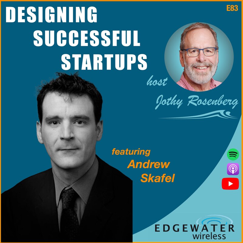Artwork for podcast Designing Successful Startups