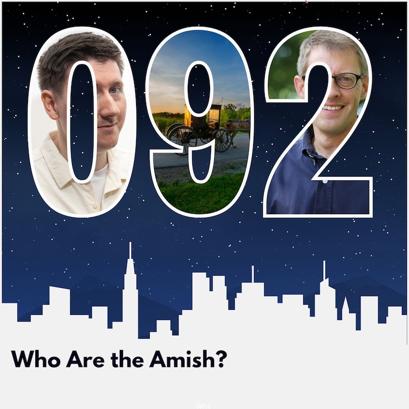 Artwork for podcast America: A History