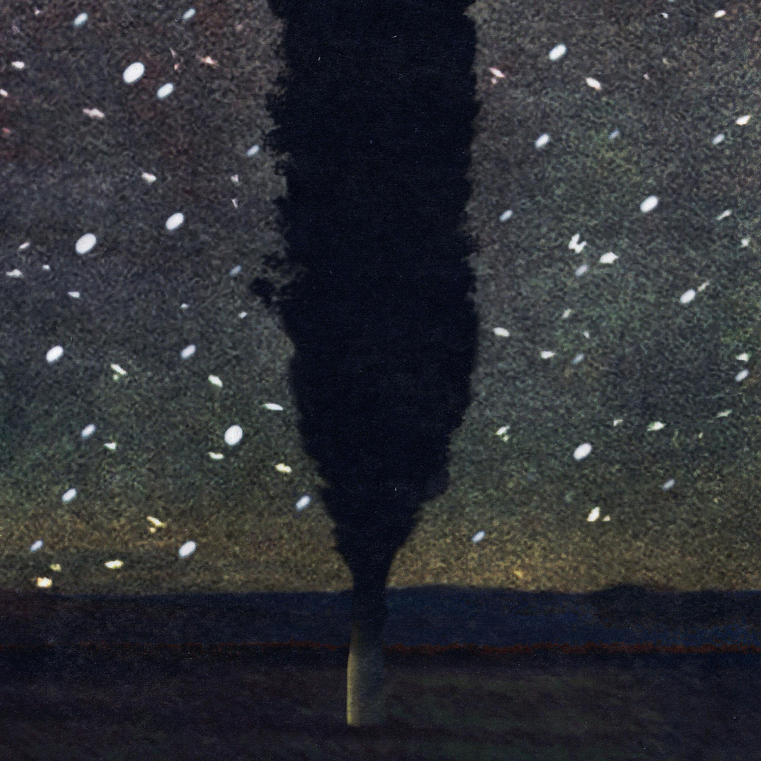 Being with the Dark — an Emergence Magazine Practice