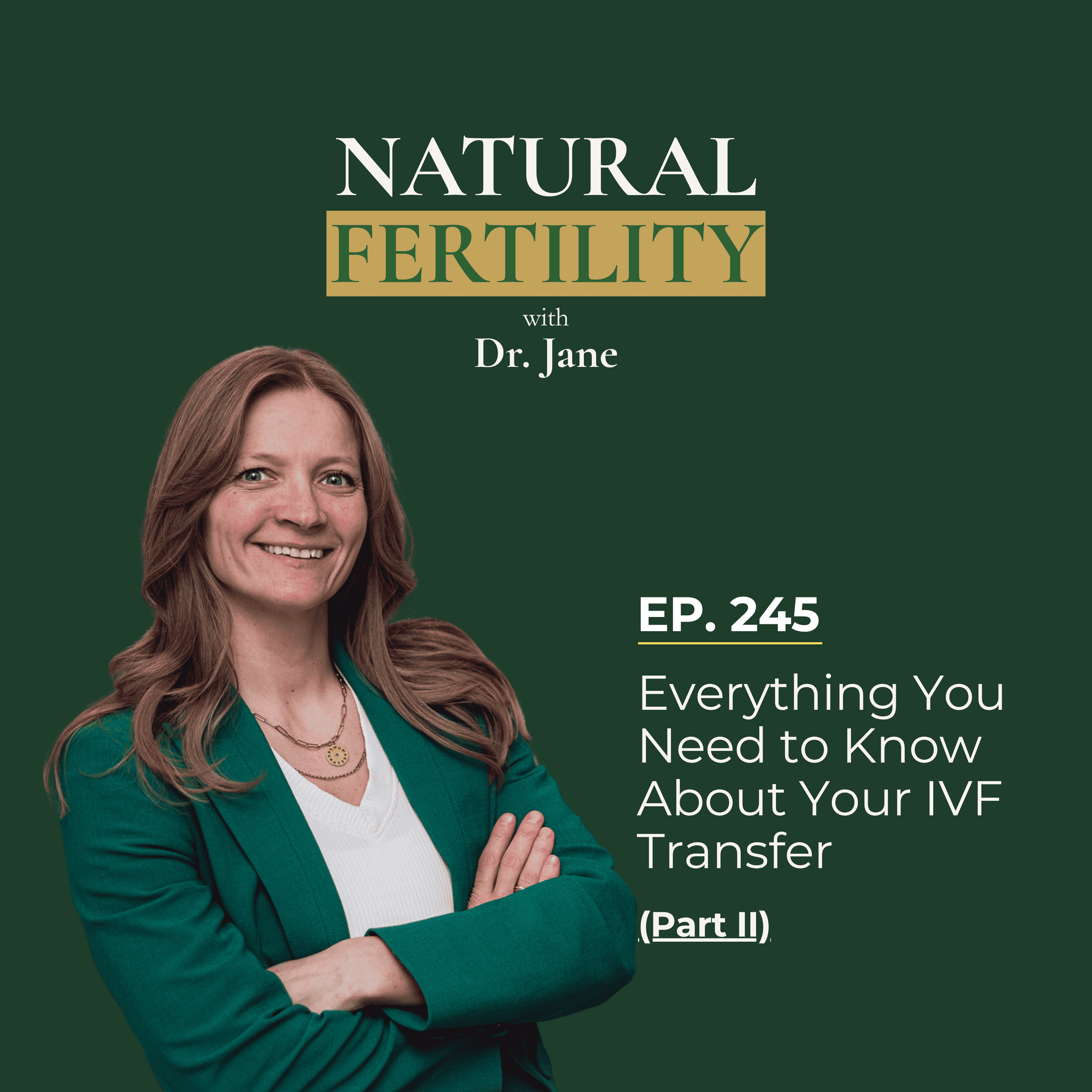 Ep.245: Everything You Need to Know About Your IVF Transfer (Part II) episode artwork