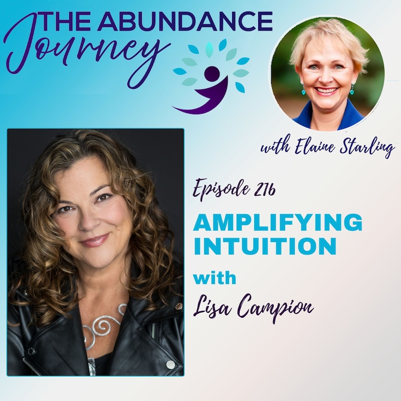 Artwork for podcast The Abundance Journey: Accelerating Revenue With An Abundance Mindset