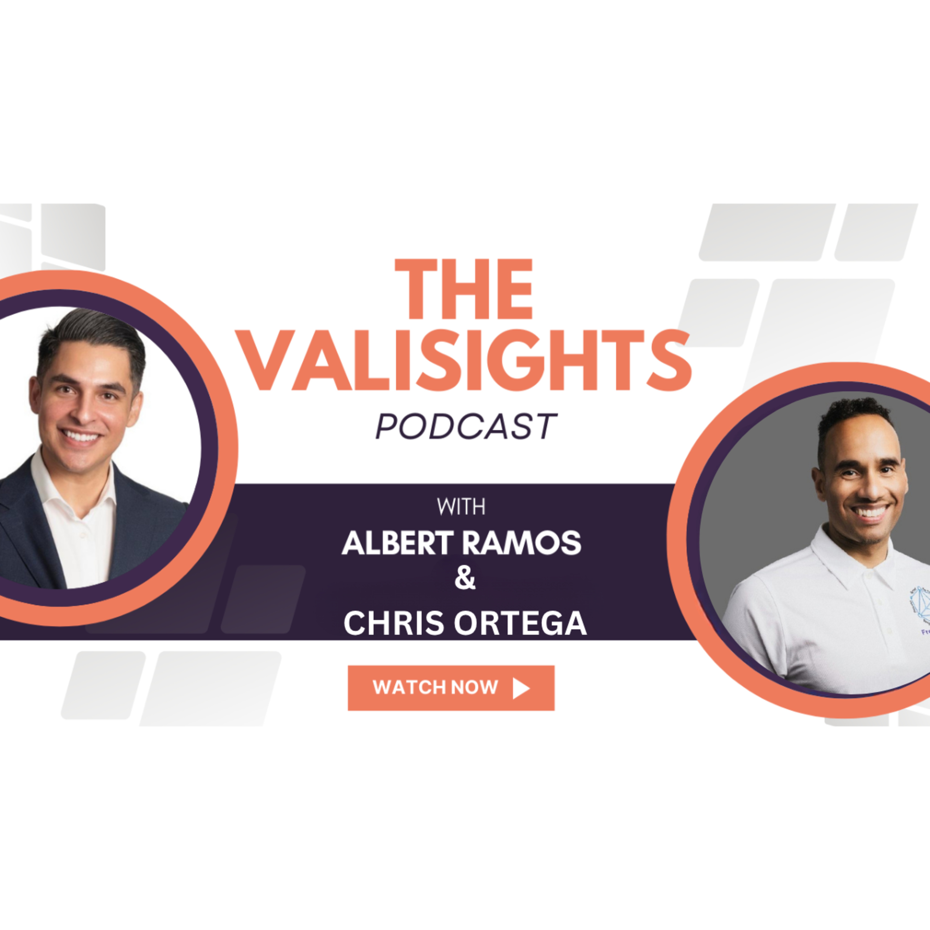 The Valisights Podcast
