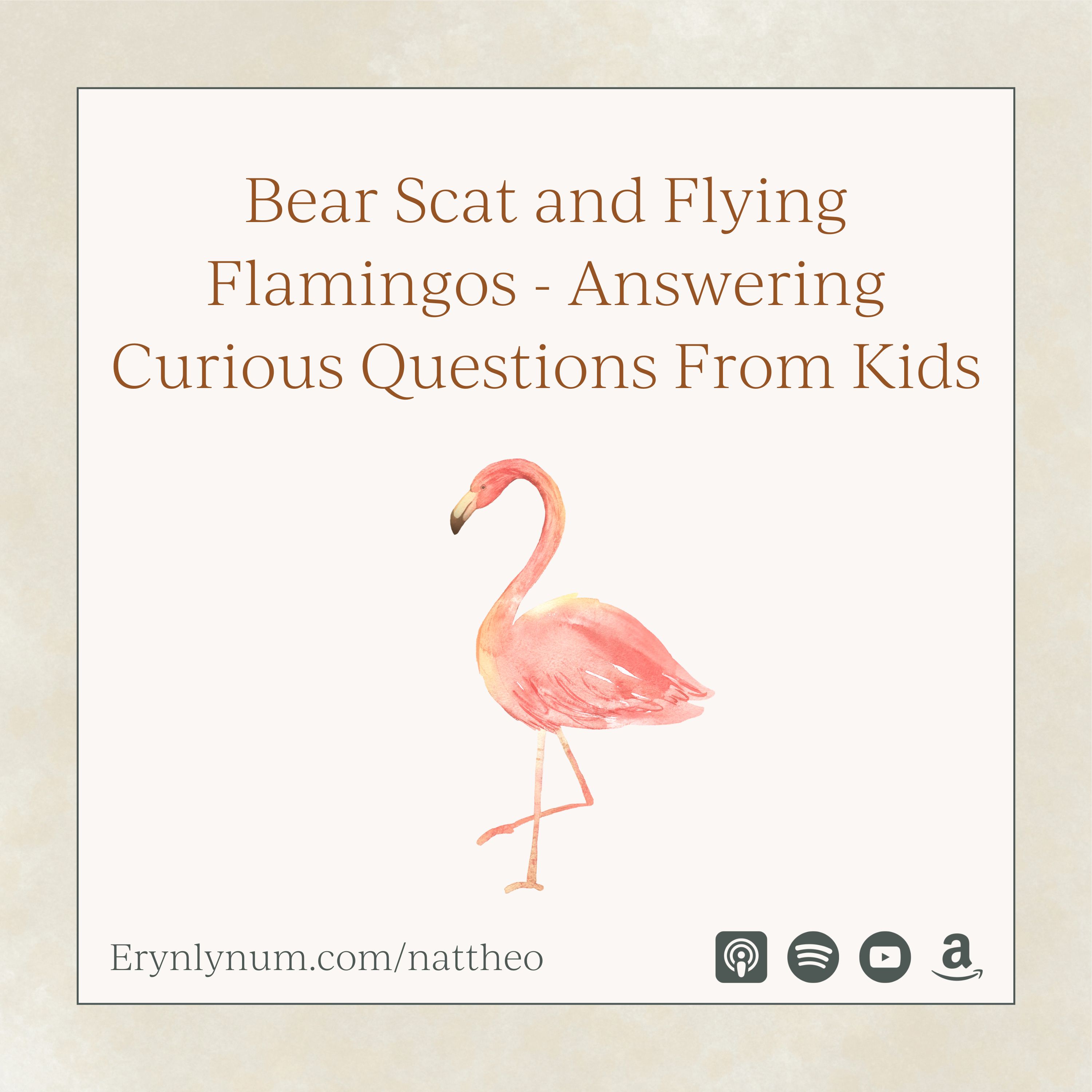 Bear Scat and Flying Flamingos - Answering Curious Questions From Kids