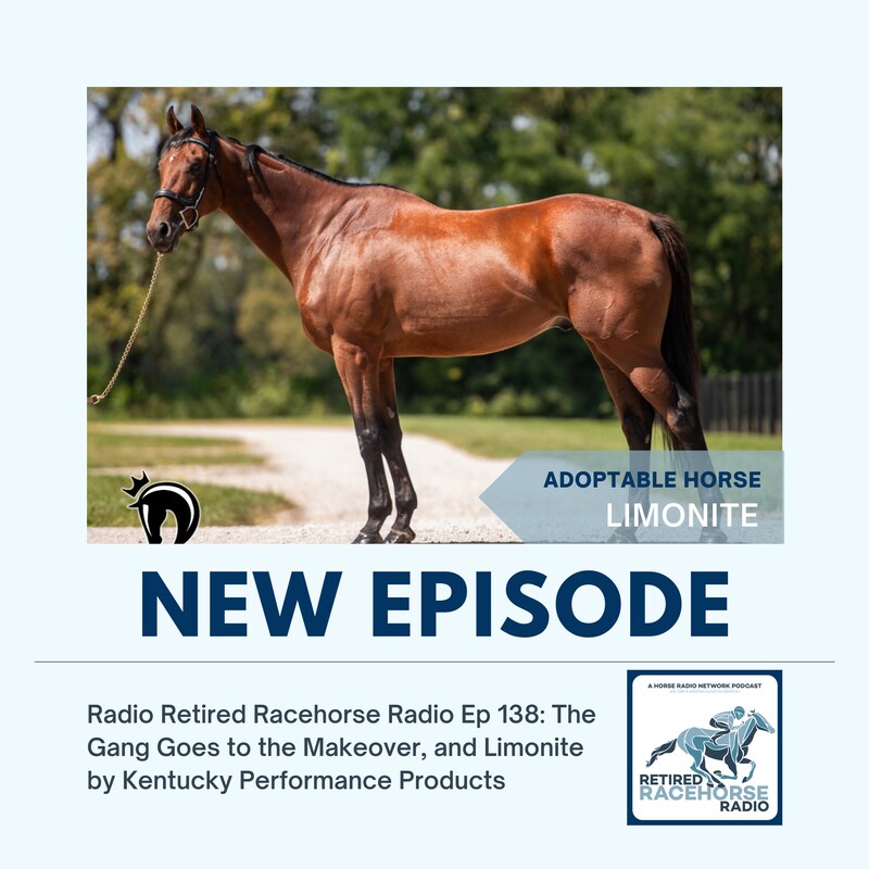Artwork for podcast Retired Racehorse Radio