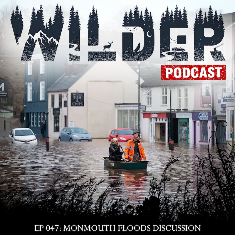 Artwork for podcast Wilder Podcast