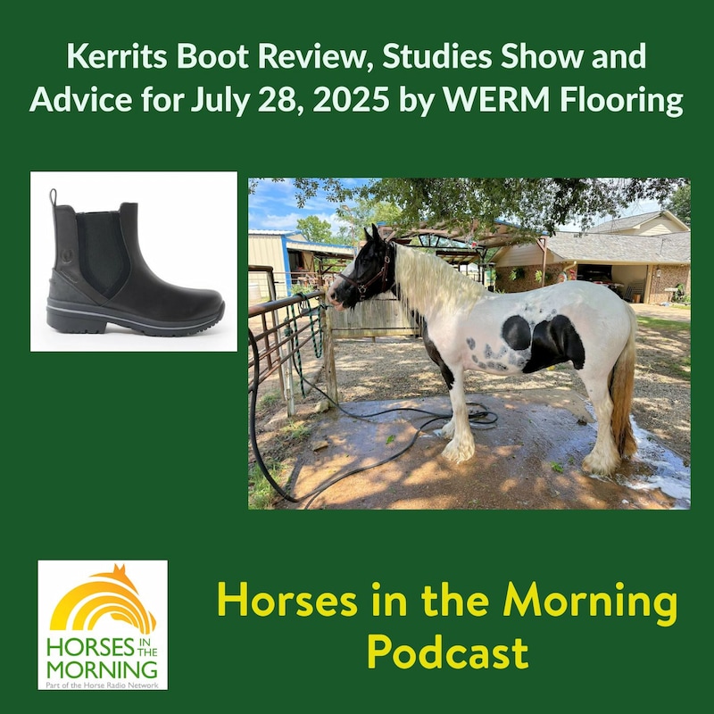 Artwork for podcast HORSES IN THE MORNING