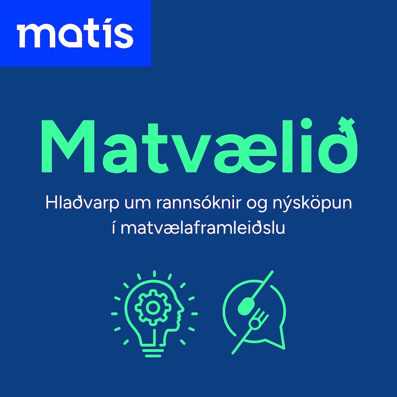 Artwork for podcast Matvælið