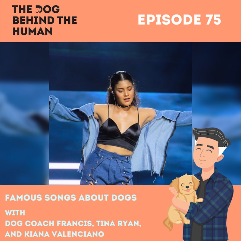 Artwork for podcast The Dog Behind The Human