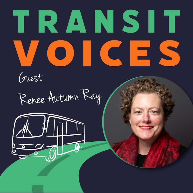 Artwork for podcast Transit Voices