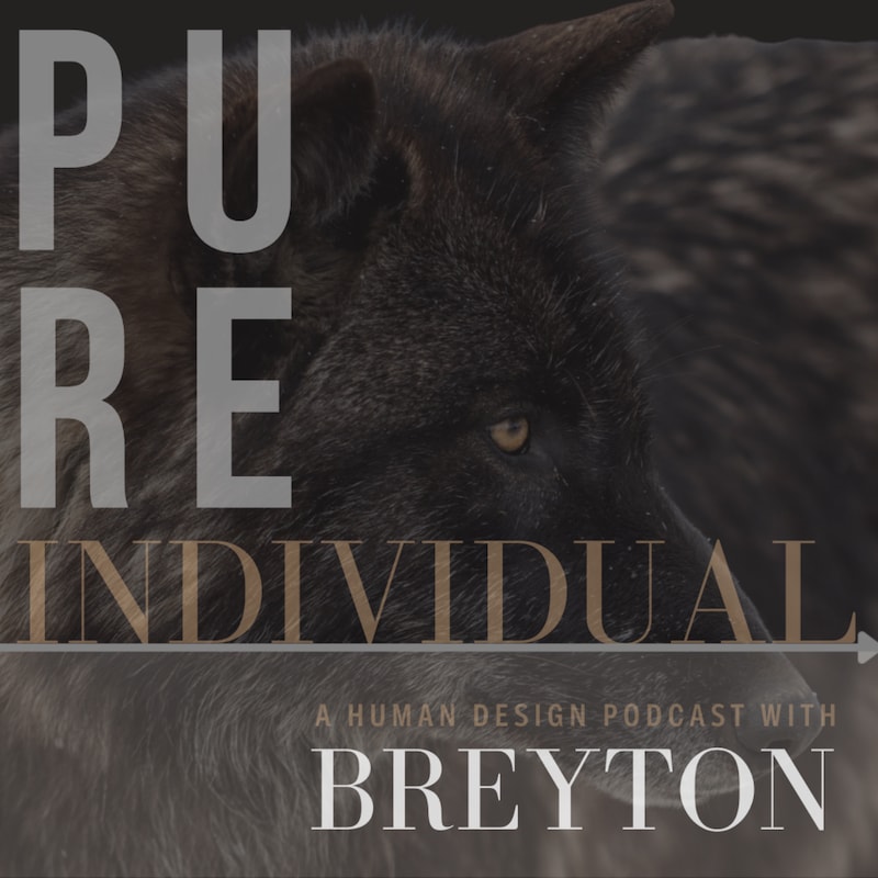 Artwork for podcast Pure Individual