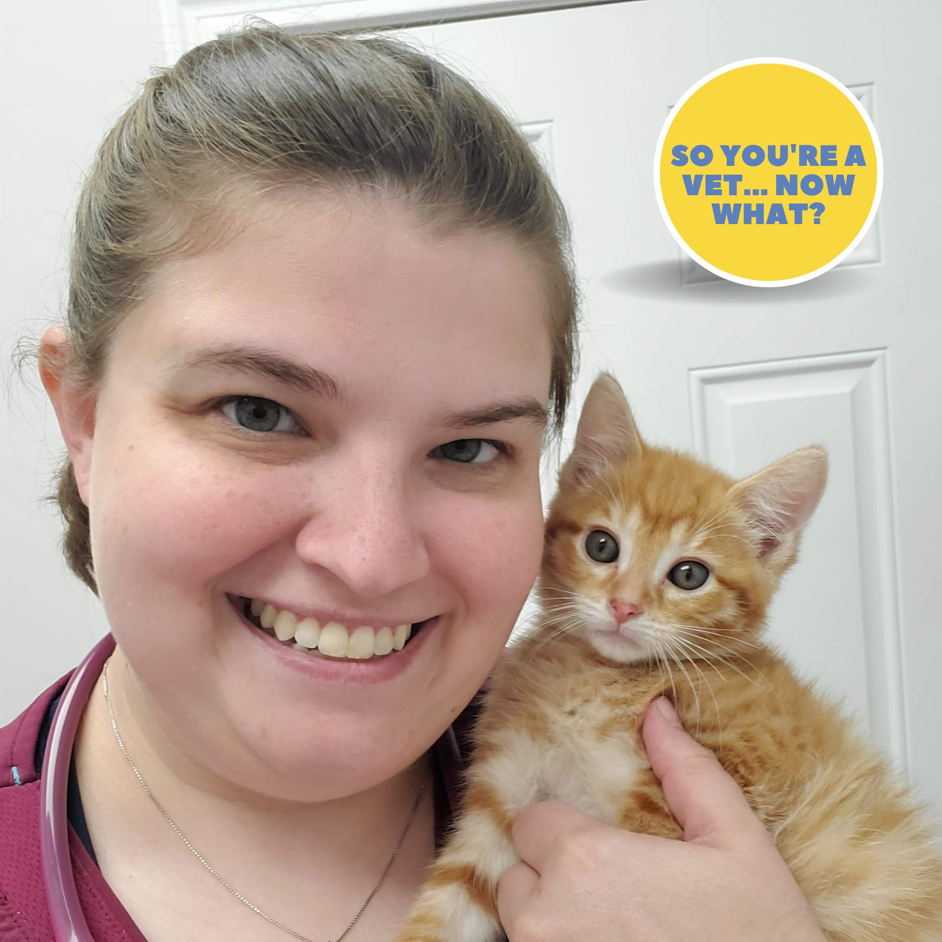 The \'So You\'re A Vet... Now What?\' Podcast