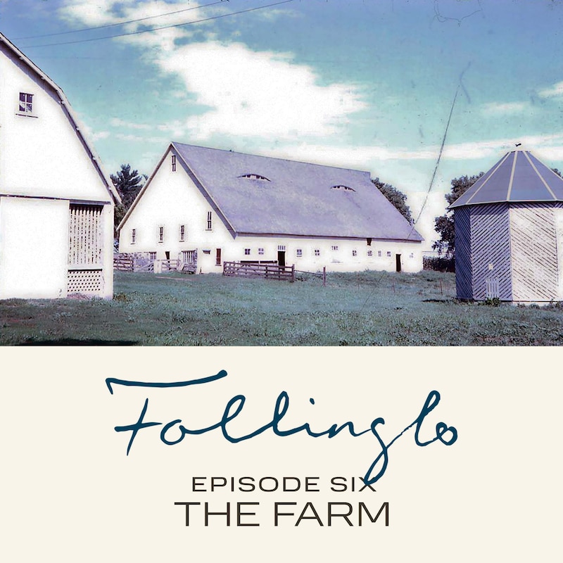 Artwork for podcast Follinglo - Tragedy in Story City, Iowa