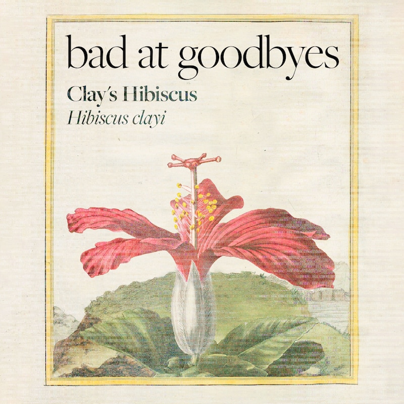 Artwork for podcast Bad at Goodbyes
