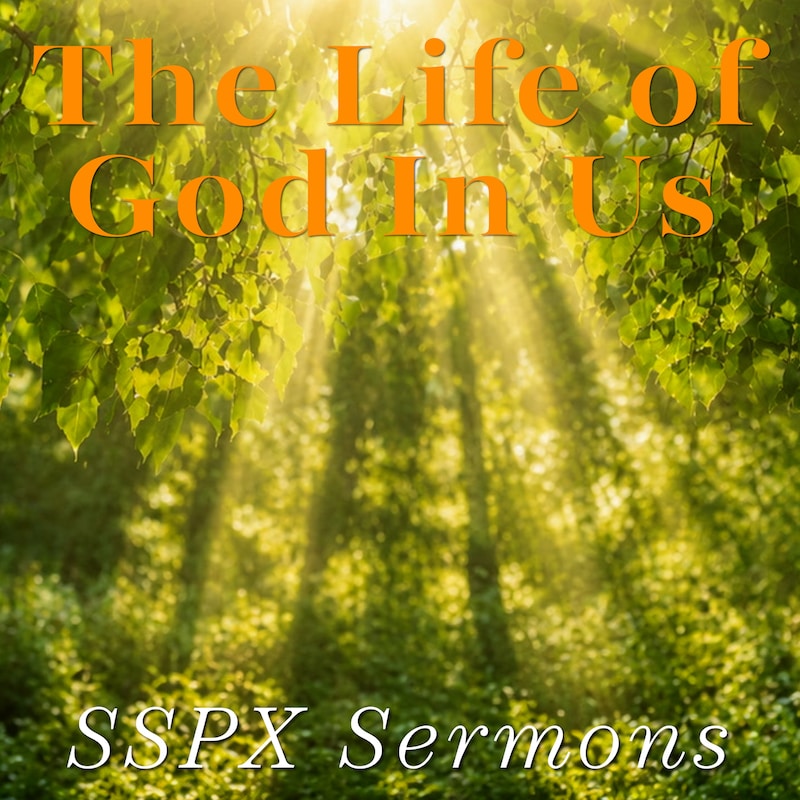 Artwork for podcast SSPX Sermons