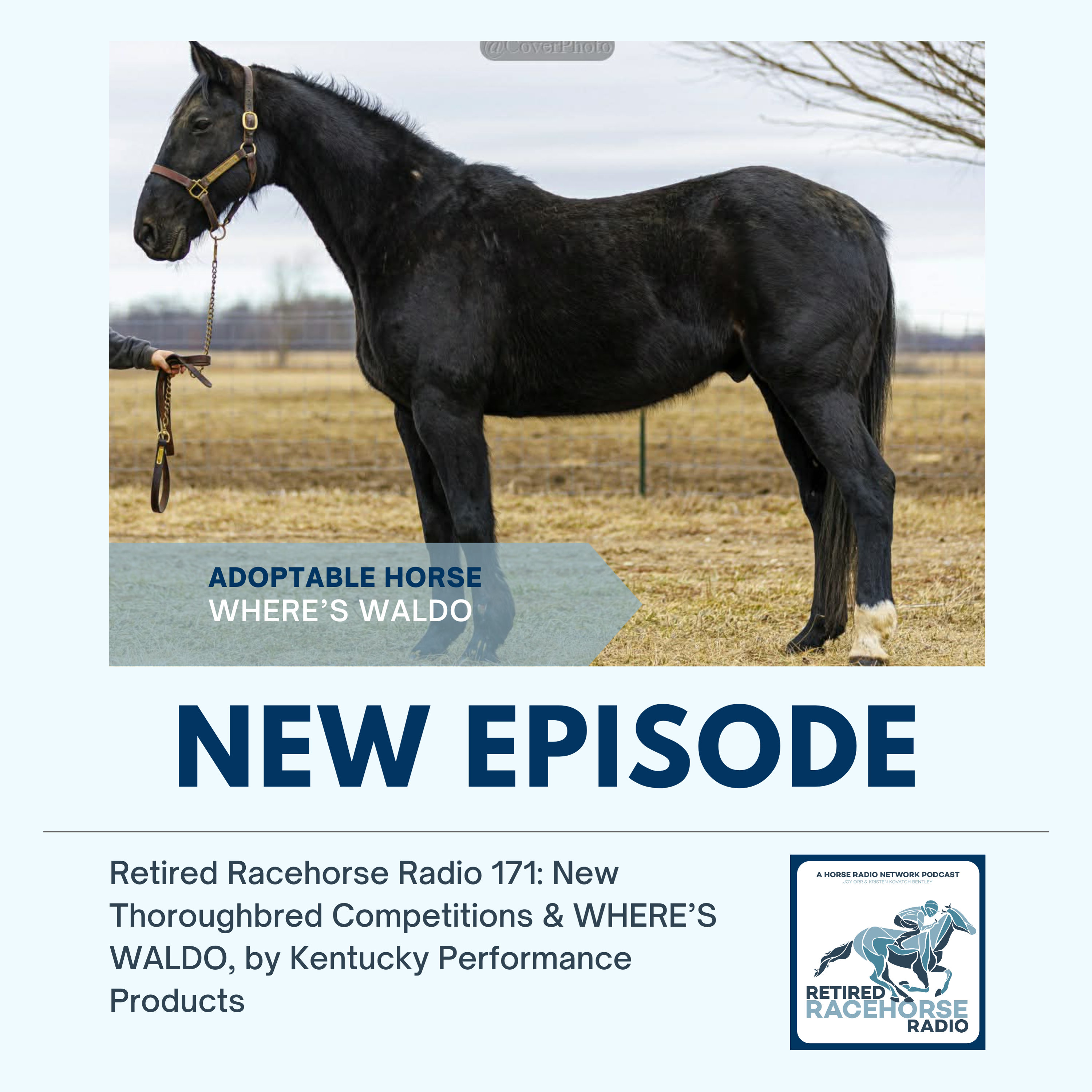 New Thoroughbred Competitions and WHERE'S WALDO by Kentucky Performance Products - Retired Racehorse Radio