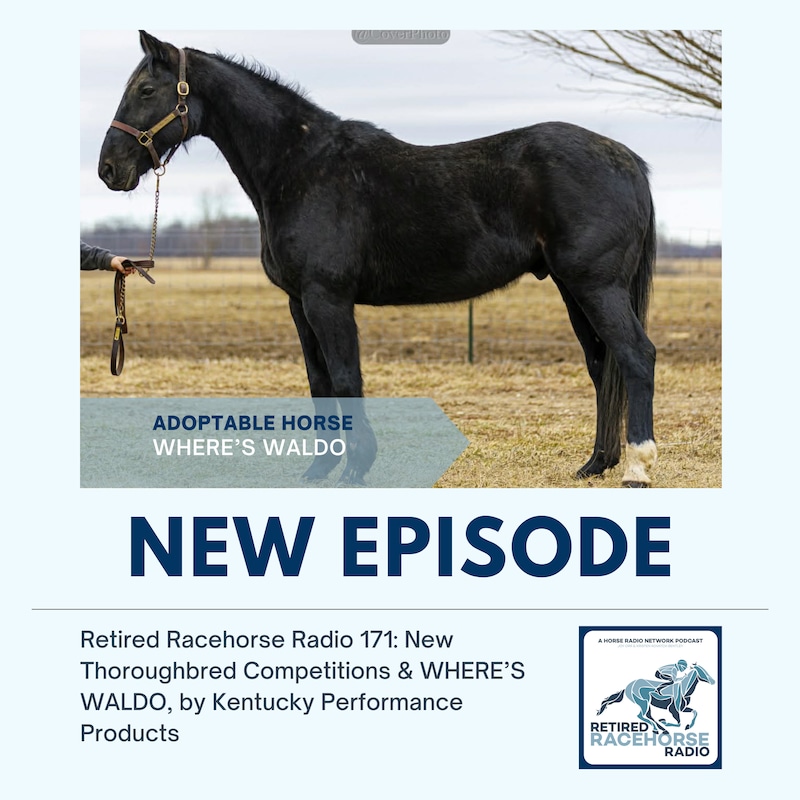 Artwork for podcast Retired Racehorse Radio