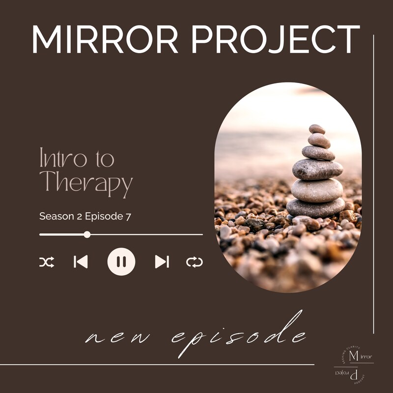 Artwork for podcast The Mirror Project
