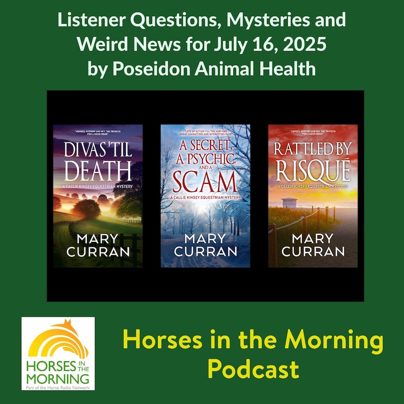 Artwork for podcast HORSES IN THE MORNING