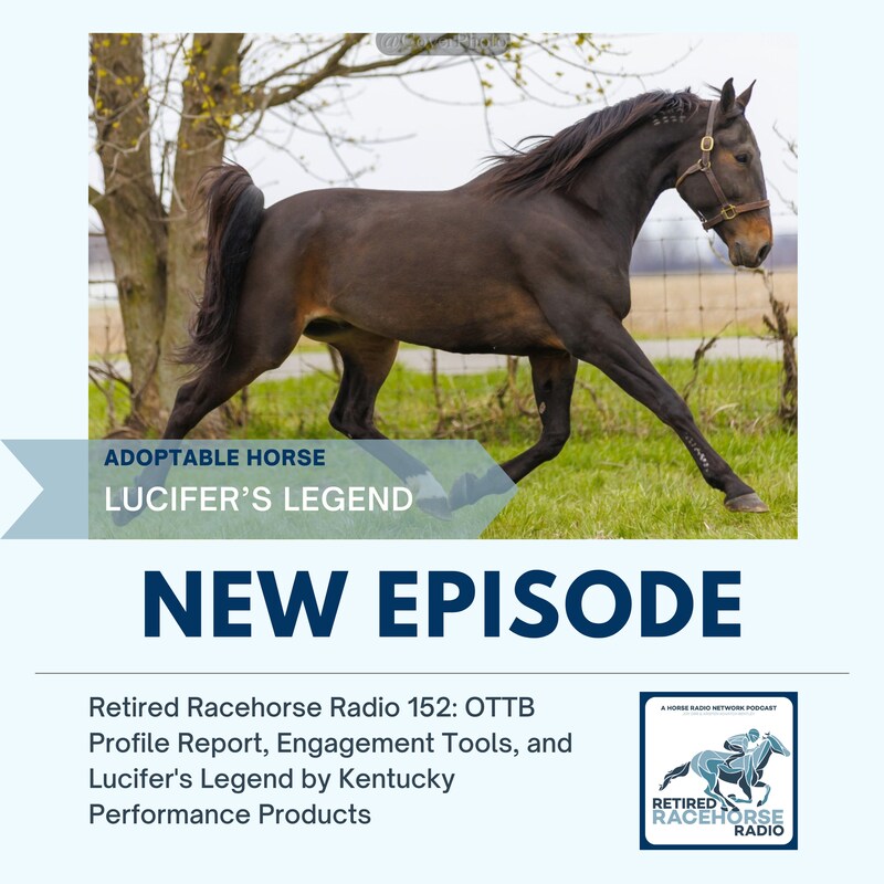 Artwork for podcast Retired Racehorse Radio